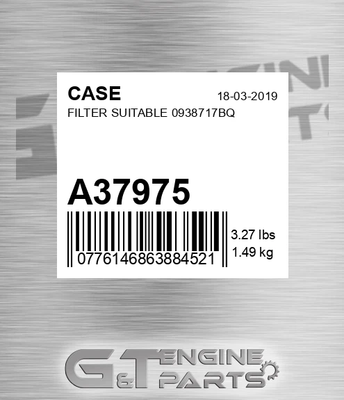 A37975 CASE Filter Suitable 0938717bq