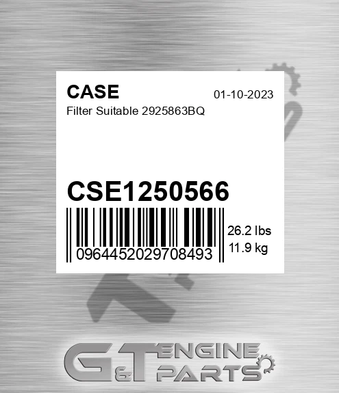 CSE1250566 Filter Suitable 2925863bq for CASE