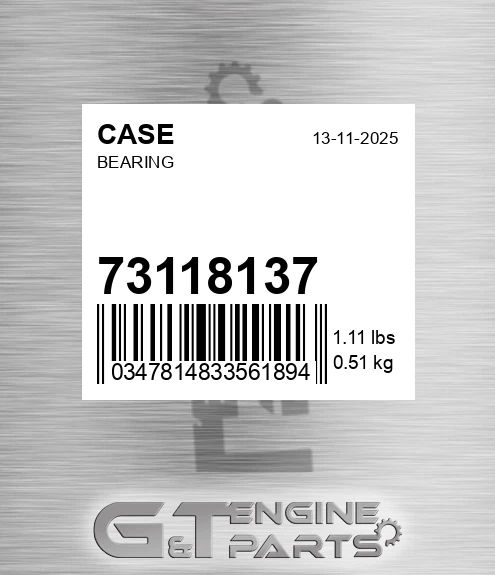 73118137 CASE Bearing