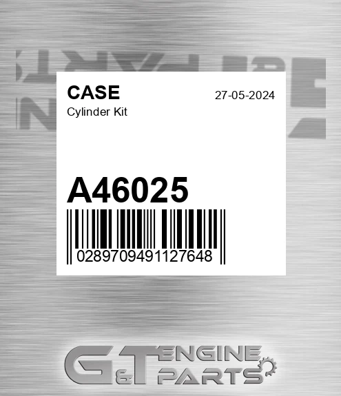 A46025 Cylinder Kit
