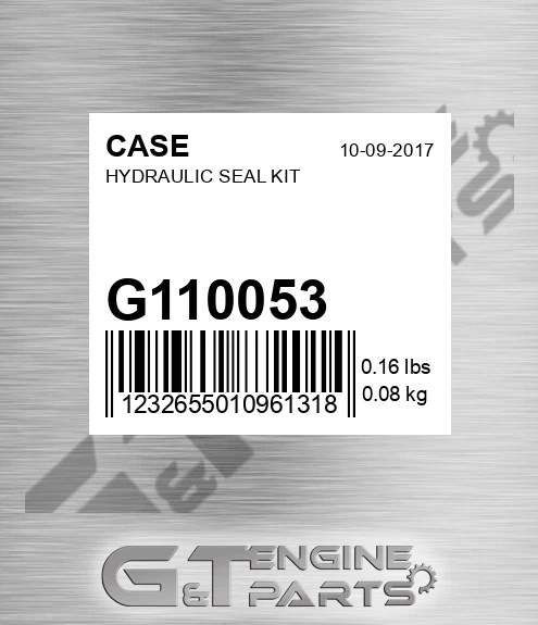 G110053 Hydraulic Seal Kit