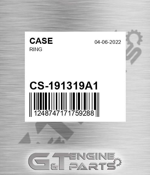 CS-191319A1 Ring