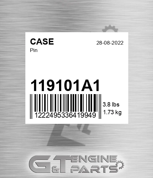 119101A1 Pin