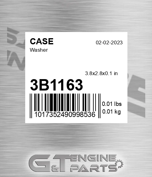 3B1163 Washer