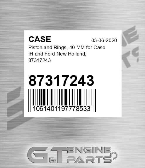 87317243 Piston And Rings, 40 Mm For Ih And Ford New Holland,