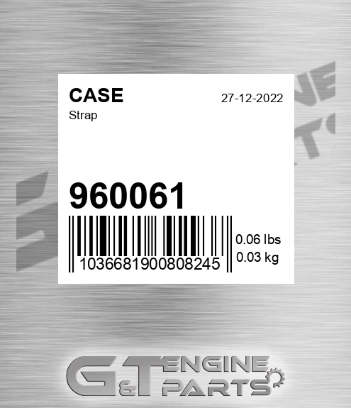 960061 CASE Strap