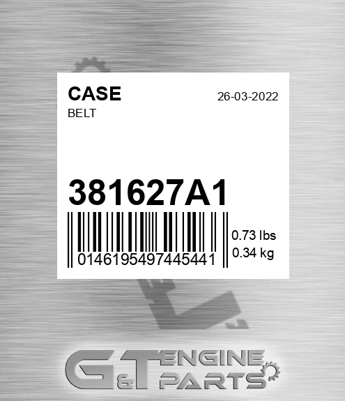 381627A1 Belt for CASE