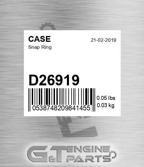 D26919 Snap Ring
