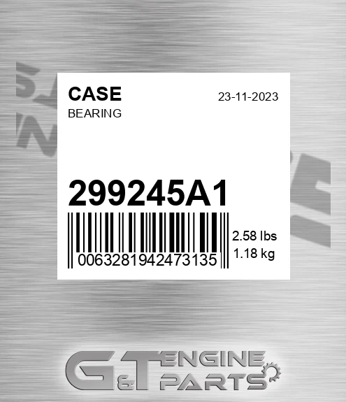 299245A1 Bearing