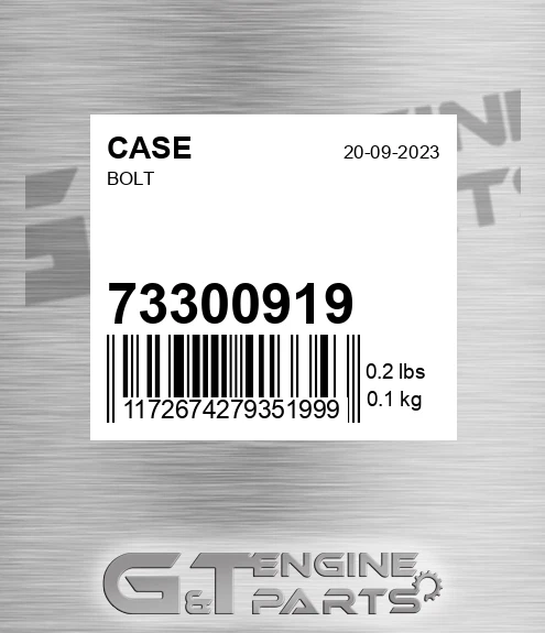 73300919 Bolt