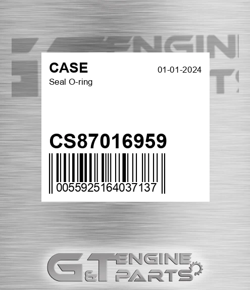 CS87016959 Seal O-ring for CASE