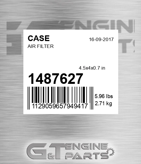 1487627 CASE Air Filter