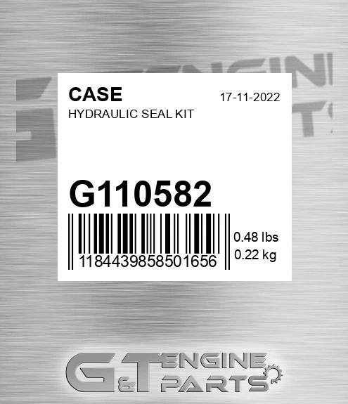 G110582 CASE Hydraulic Seal Kit