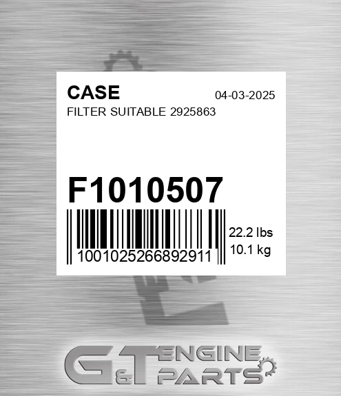 F1010507 CASE Filter Suitable 2925863