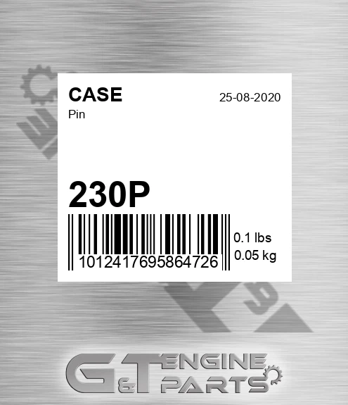 230P CASE Pin