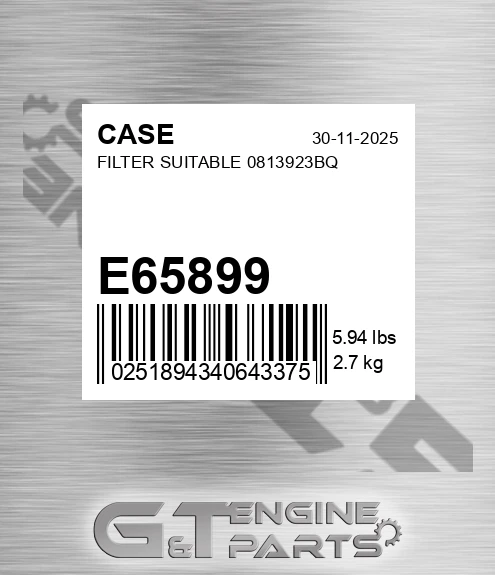 E65899 CASE Filter Suitable 0813923bq