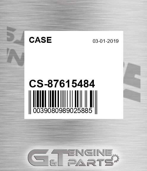 CS-87615484 CASE