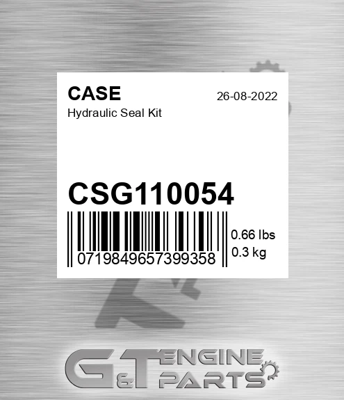 CSG110054 Hydraulic Seal Kit for CASE