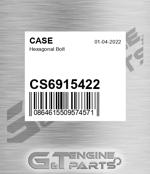 CS6915422 CASE Hexagonal Bolt