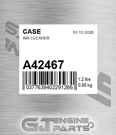 A42467 CASE Air Cleaner