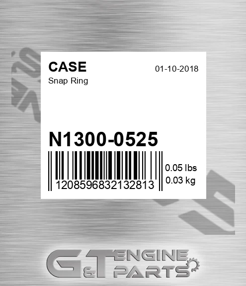 N1300-0525 Snap Ring for CASE