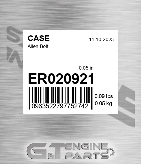 ER020921 CASE Allen Bolt