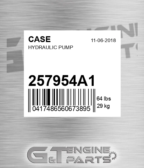 257954A1 CASE Hydraulic Pump