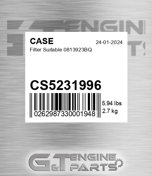 CS5231996 Filter Suitable 0813923bq