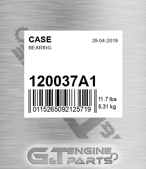 120037A1 Bearing