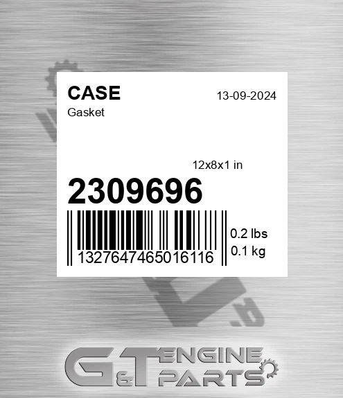 2309696 CASE Gasket