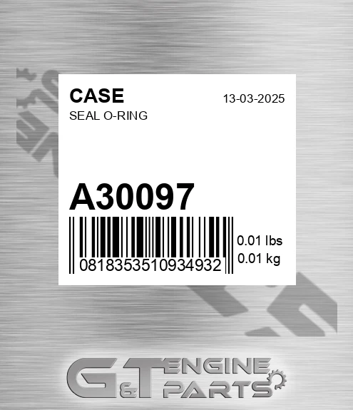 A30097 CASE Seal O-ring