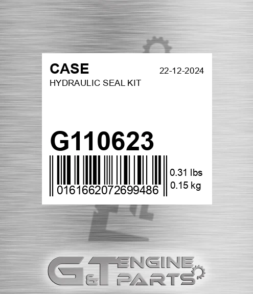 G110623 CASE Hydraulic Seal Kit