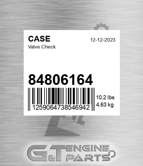 84806164 CASE Valve Check