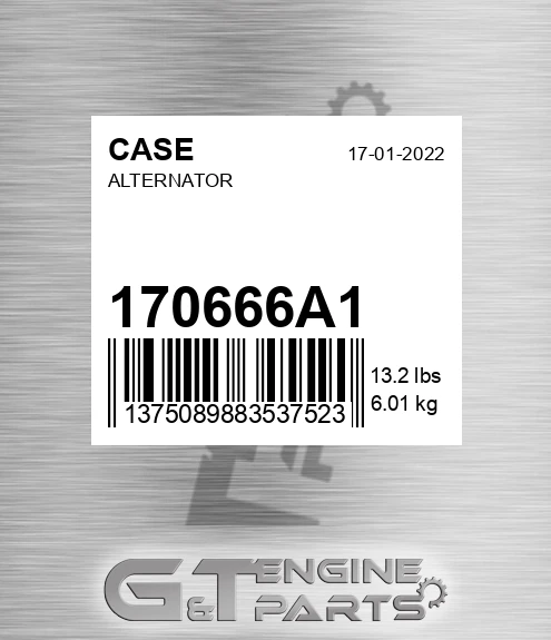 170666A1 CASE Alternator