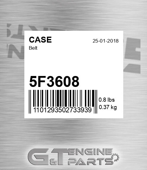 5F3608 CASE Belt