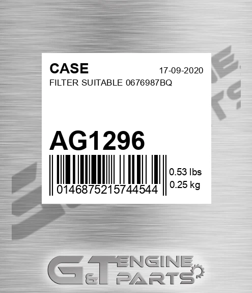 AG1296 CASE Filter Suitable 0676987bq