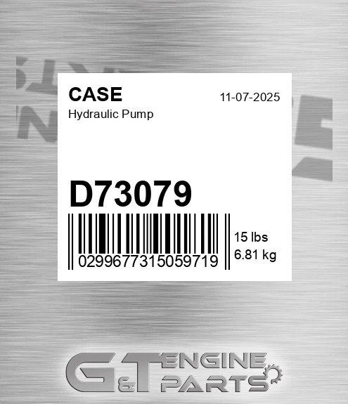 D73079 CASE Hydraulic Pump