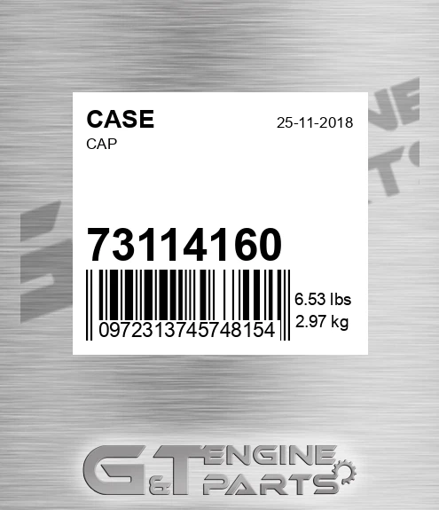 73114160 Cap
