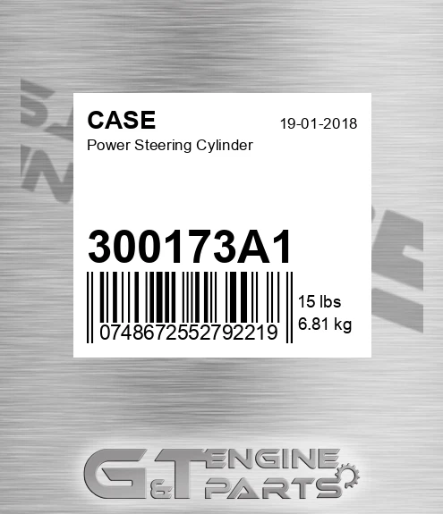 300173A1 Power Steering Cylinder