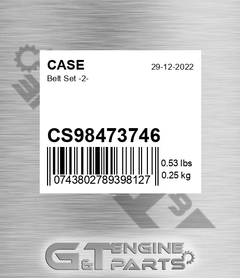 CS98473746 CASE Belt Set -2-