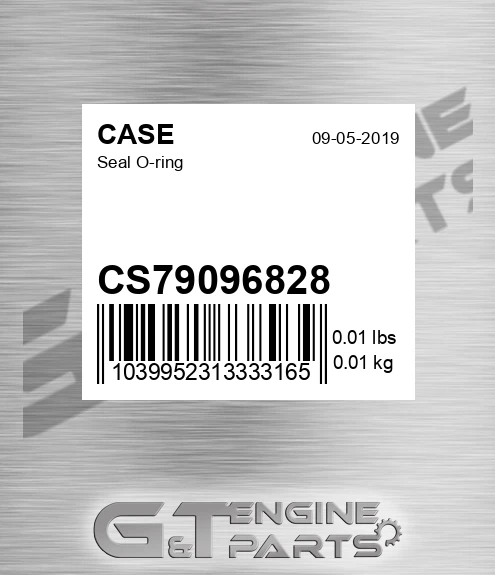 CS79096828 Seal O-ring