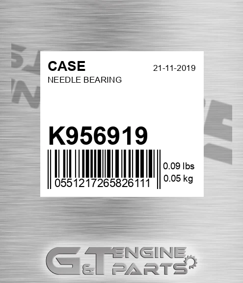 K956919 CASE Needle Bearing
