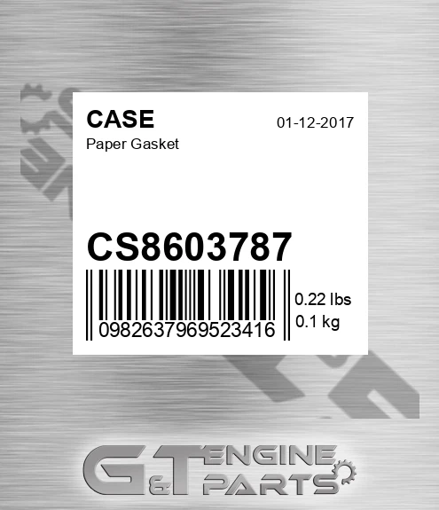 CS8603787 Paper Gasket