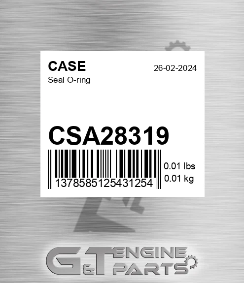 CSA28319 CASE Seal O-ring