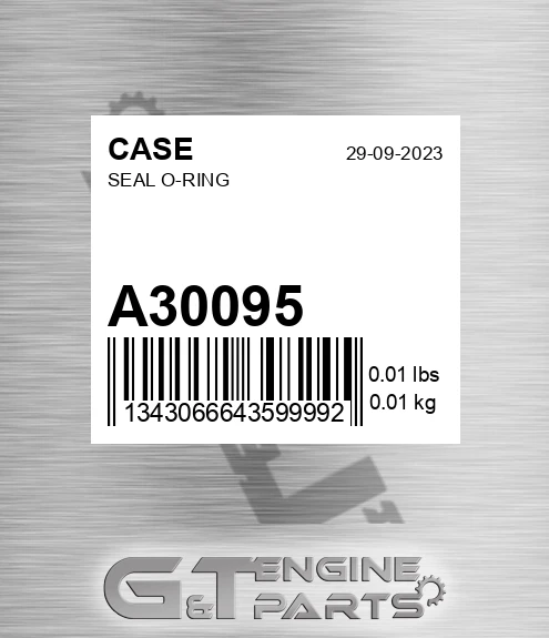 A30095 CASE Seal O-ring