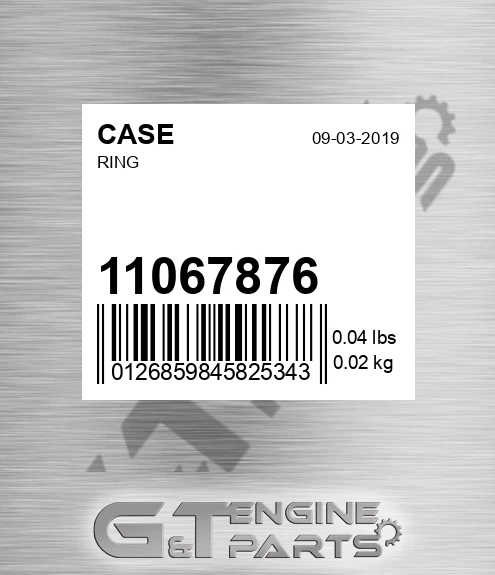 11067876 Ring