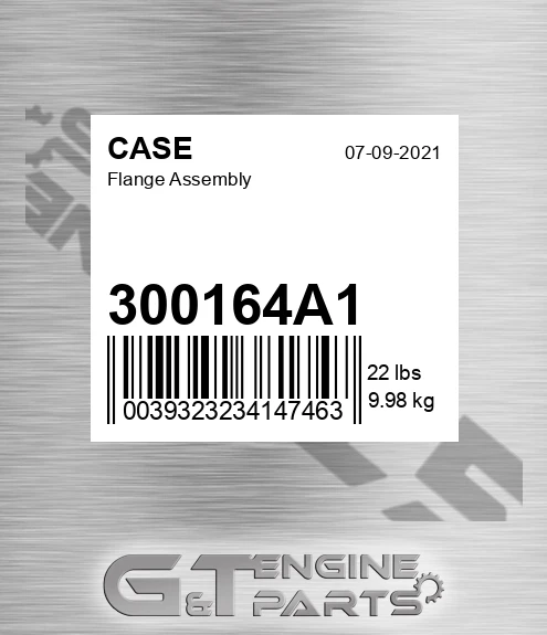 300164A1 Flange Assembly