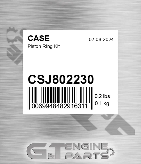 CSJ802230 Piston Ring Kit