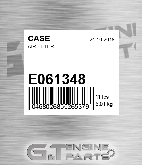 E061348 CASE Air Filter