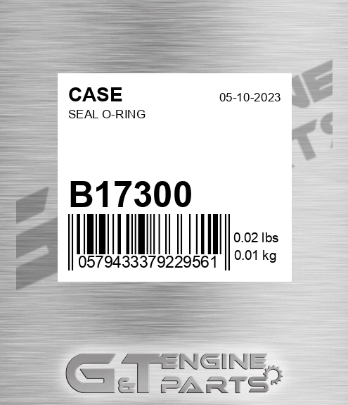 B17300 Seal O-ring